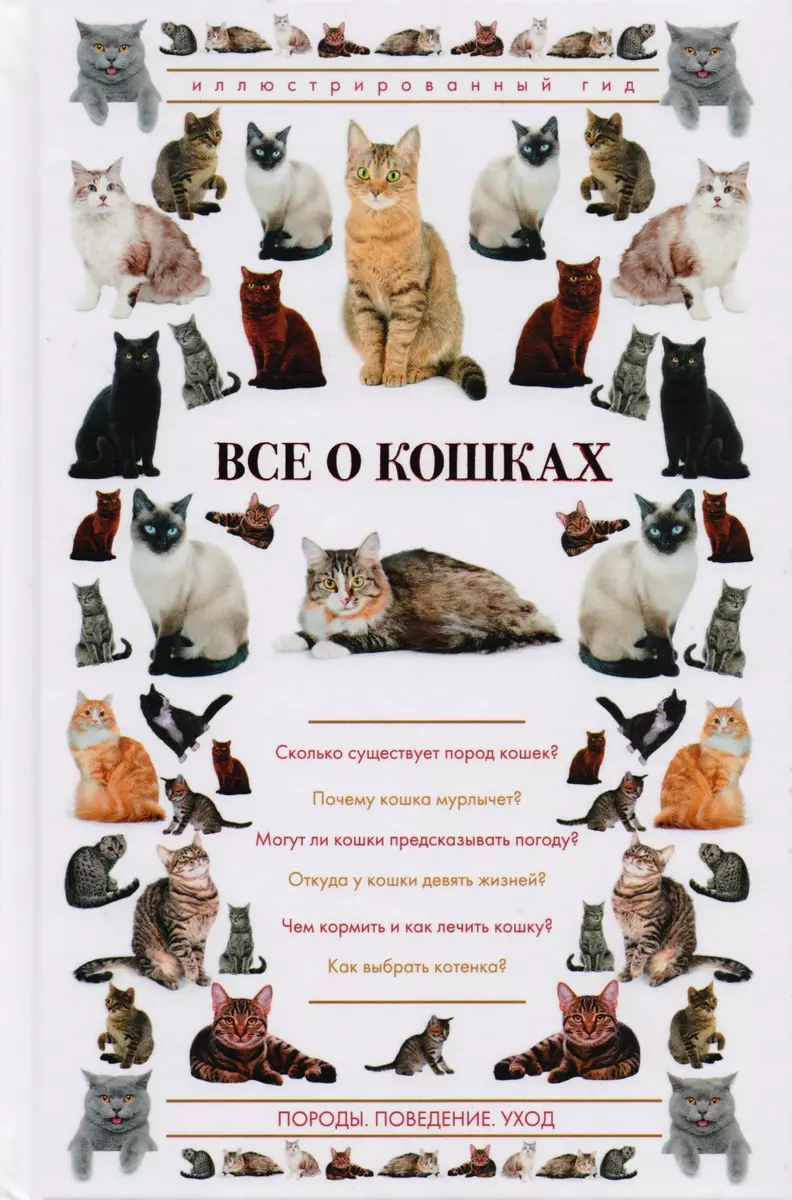 Все о кошках. Иллюстрированный гид (Николай Непомнящий) - купить книгу с  доставкой в интернет-магазине «Читай-город». ISBN: 978-5-17-099824-1