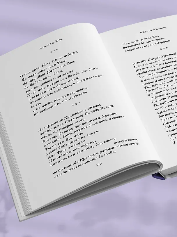 Книга О Христе и Церкви. Домашние беседы (Александр Мень) — 13