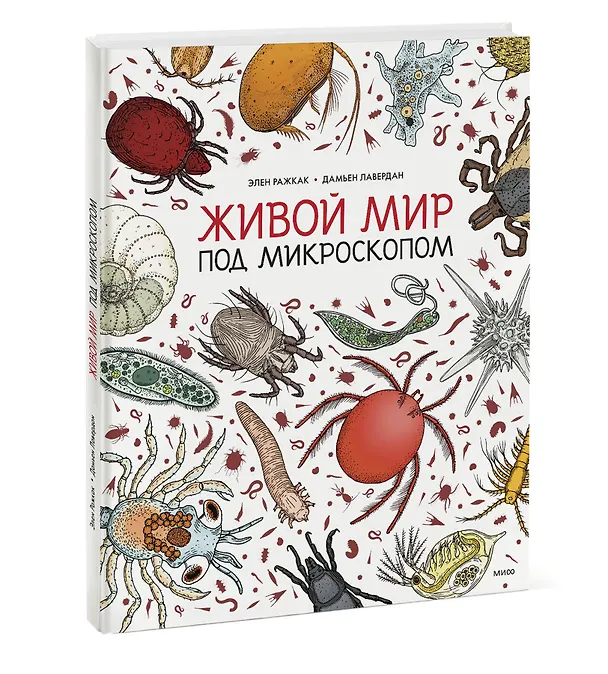 Книга Живой мир под микроскопом (Элен Ражкак, Дамьен Лавердан) — 4