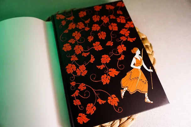 Книга Клитемнестра (Костанца Казати) — 10