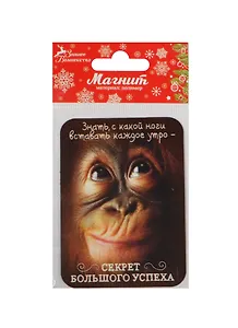Магнит Обезьяна Секрет большого успеха 5,8х8 (1047589)