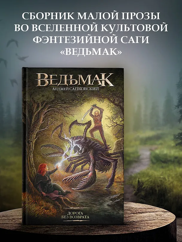 Книга Дорога без возврата (Анджей Сапковский) — 5