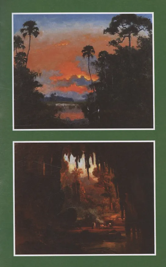 Книга Алмазы перуанца. Том 2 (Софи Ворисгофер) — 6