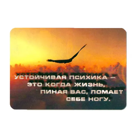 Сувенир МАГНИТИК Магнит 9,5*6,5см "Афоризмы":"Устойчивая психика - это когда жизнь..." 2361578 — 1