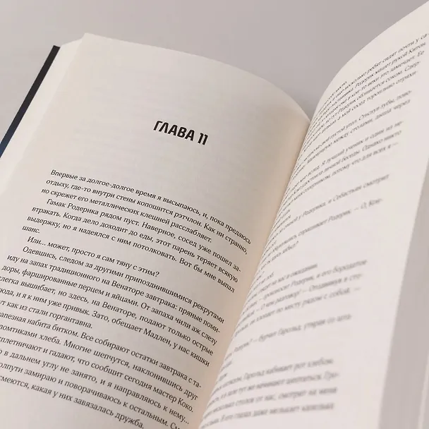 Книга Черная бездна. Том 1. Край неба (Марк Дж. Грегсон) — 9