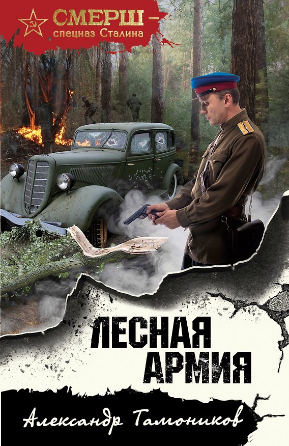 Книга Лесная армия (Александр Тамоников) — 1