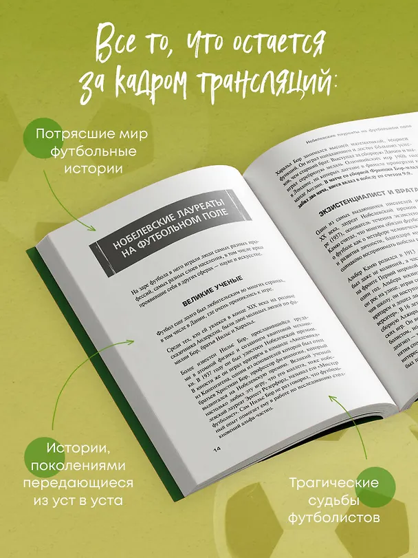 Книга Футбол без границ. Невероятные истории, байки и анекдоты для всех любителей футбола (Михаил Григорьев) — 6
