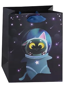Пакет А5 23*18*10 "Cosmos cats" дет., бум.мат.ламинат 