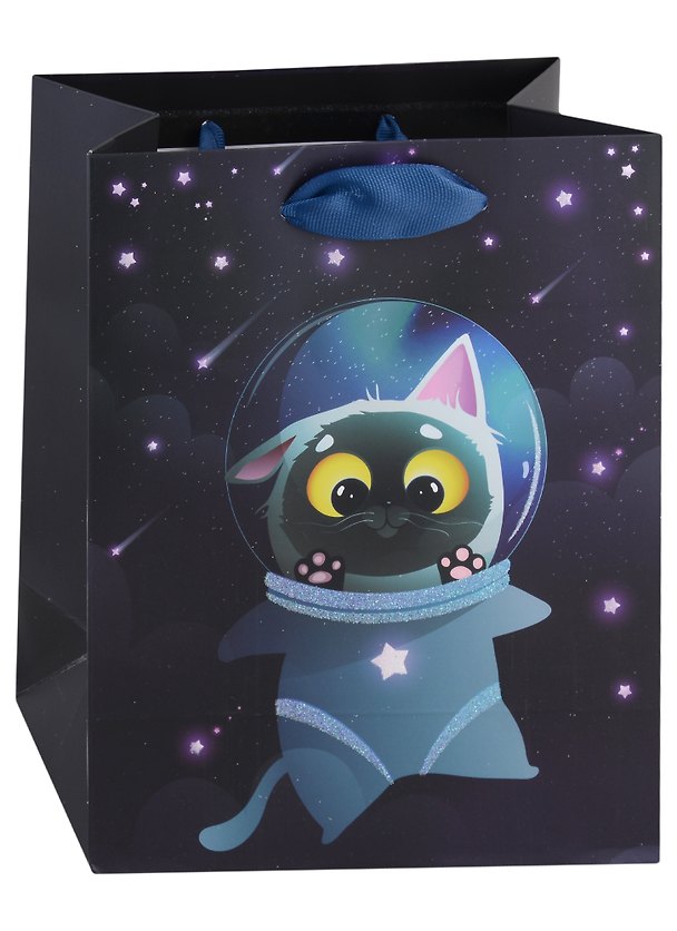Пакет А5 23*18*10 "Cosmos cats" дет., бум.мат.ламинат 2950377 — 1