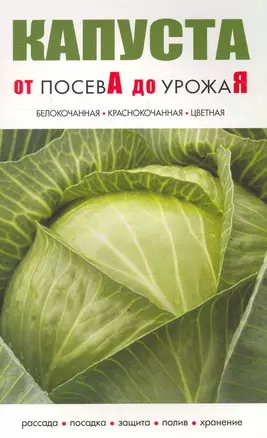 Капуста От посева до урожая / (мягк) (Сиб.универ.из-во) — 2271825 — 1