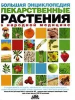 Большая энциклопедия. Лекарственные растения в народной медицине — 2130545 — 1