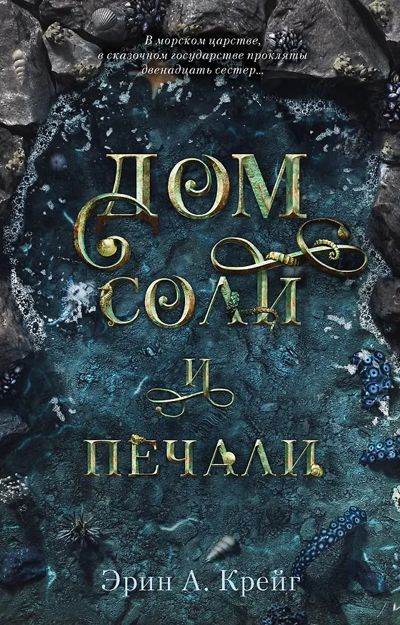 Книга Дом соли и печали (Эрин Крейг) — 1