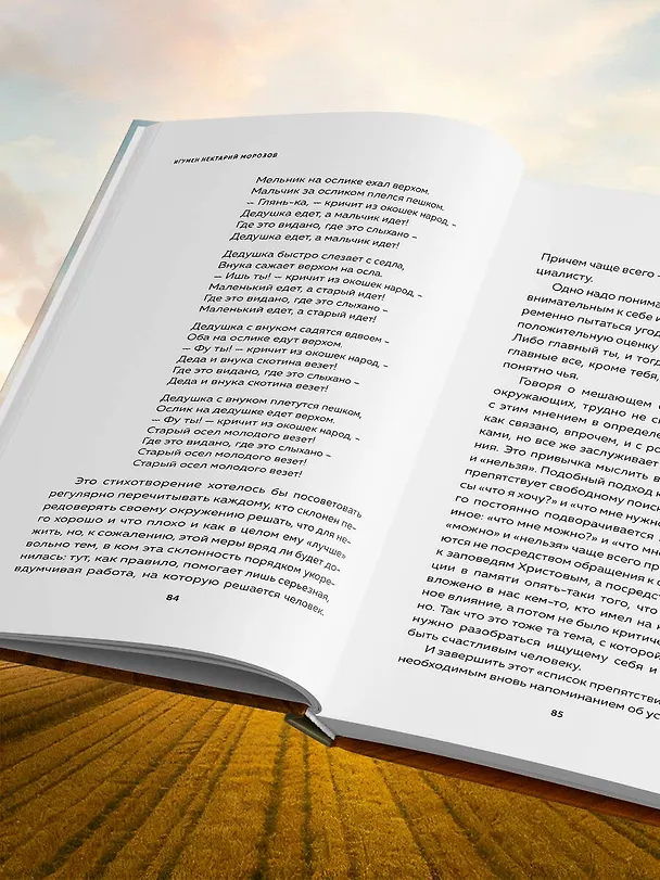 Книга Что нам нужно для счастья? Как не прожить чужую жизнь (Игумен Нектарий Морозов) — 11