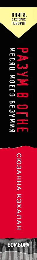 Книга Разум в огне. Месяц моего безумия (Сюзанна Кэхалан) — 3