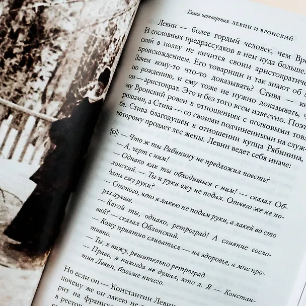 Книга Подлинная история Константина Левина (Павел Басинский) — 15