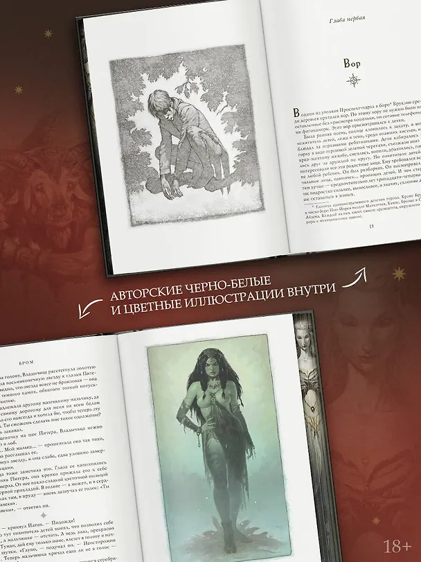 Книга Похититель детей (Джеральд Бром) — 8