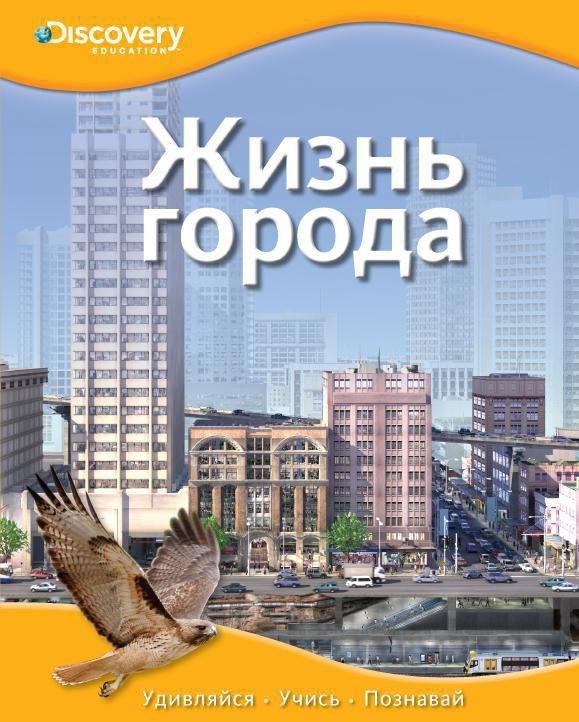 

Жизнь города