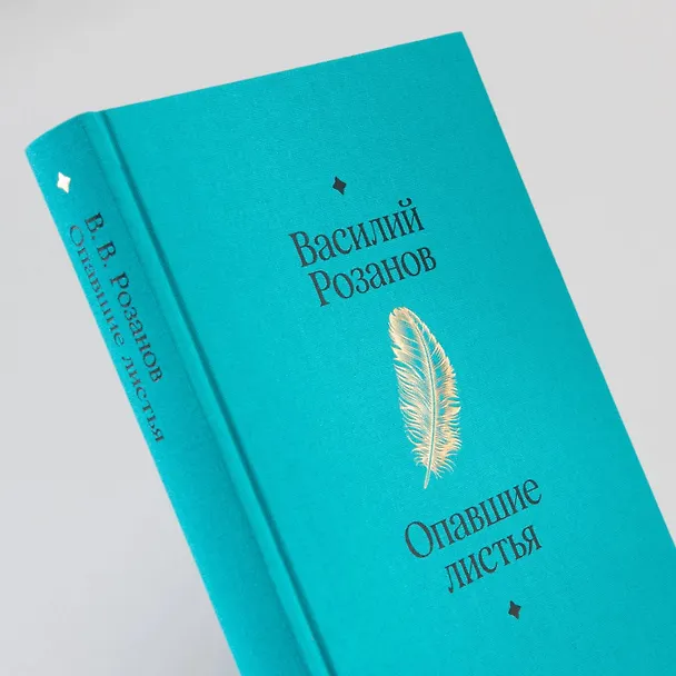 Книга Опавшие листья (Василий Розанов) — 19