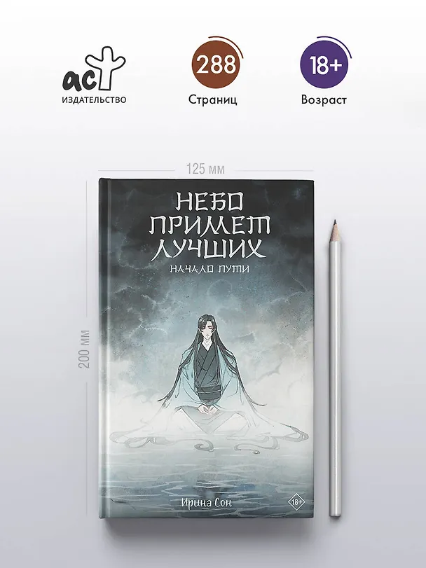 Книга Небо примет лучших (Ирина Сон) — 5