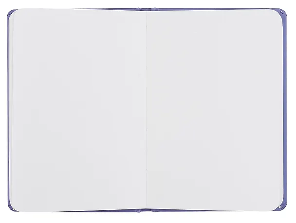 Скетчбук А5 64л "Van Gogh Сollection. Ирисы" 100г/м2, тв.обложка 3072802 — 3