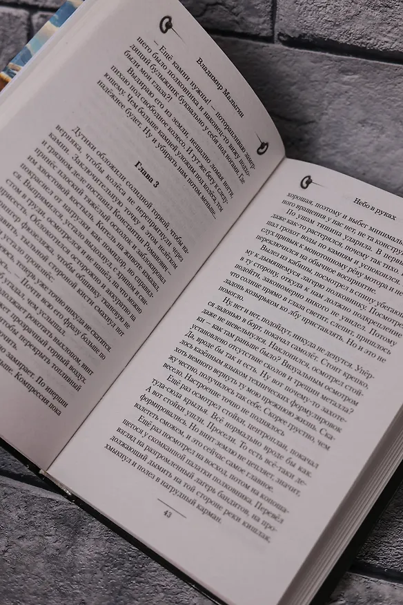 Книга Небо в руках (Владимир Малыгин) — 11