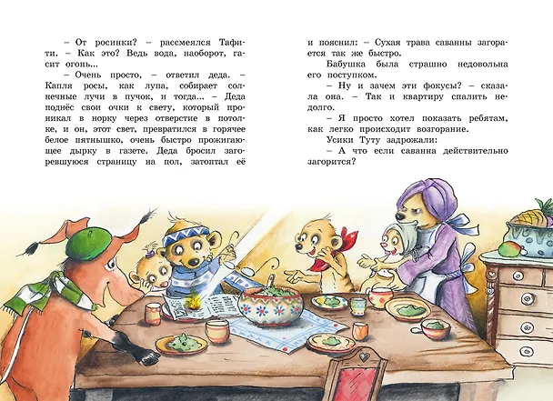 Книга Тафити и великий пожар (Юлия Бёме) — 15