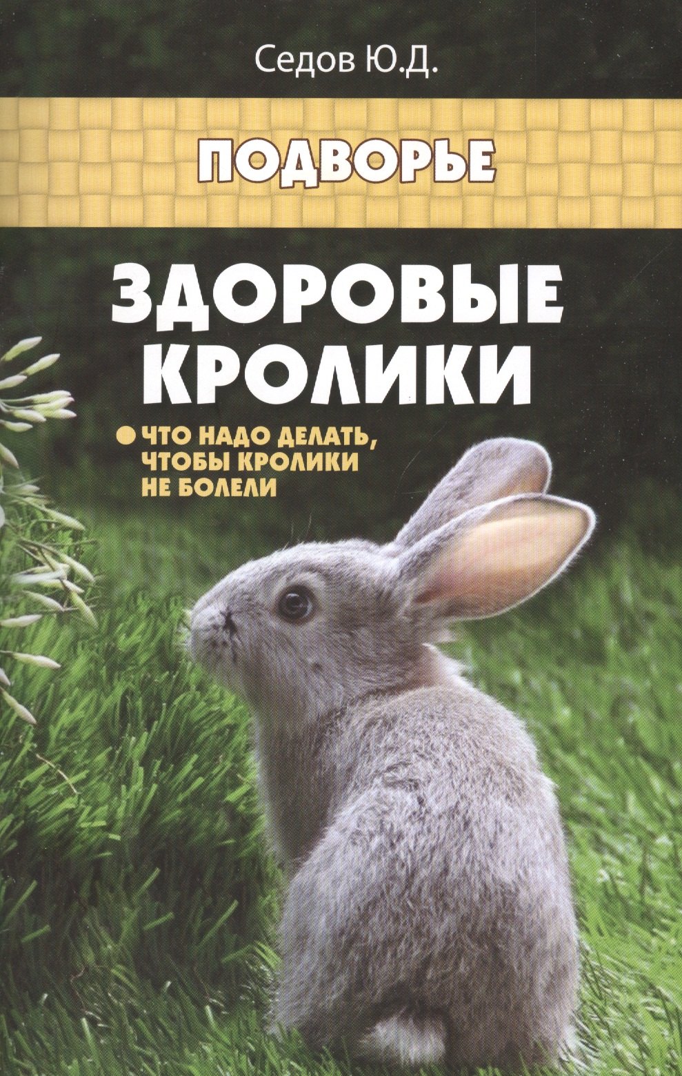 

Здоровые кролики: что надо делать, чтобы кролики не болели