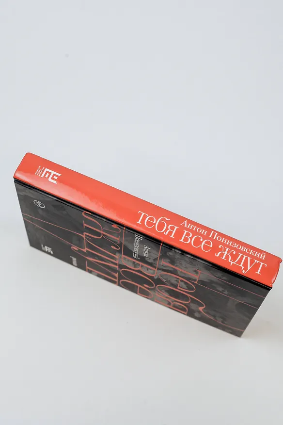 Книга Тебя все ждут (Антон Понизовский) — 13