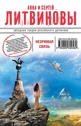 Книга Незримая связь: роман (Анна и Сергей Литвиновы)