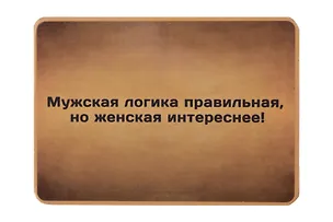 Сувенир МАГНИТИК Магнит 9,5*6,5см "Афоризмы":"Мужская логика правильная..." 2361568