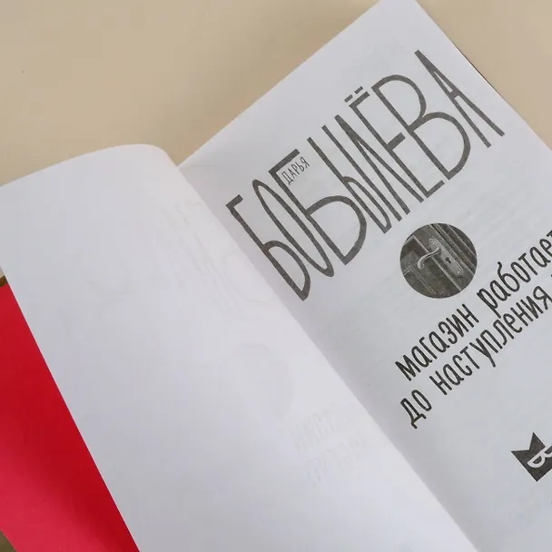 Книга Магазин работает до наступления тьмы (Дарья Бобылева) — 10