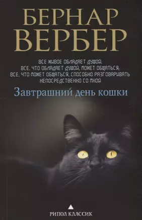 Завтрашний день кошки — 2654925 — 1