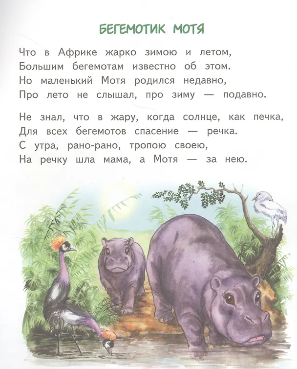 Книга Слонёнок Санни (Владимир Борисов) — 5