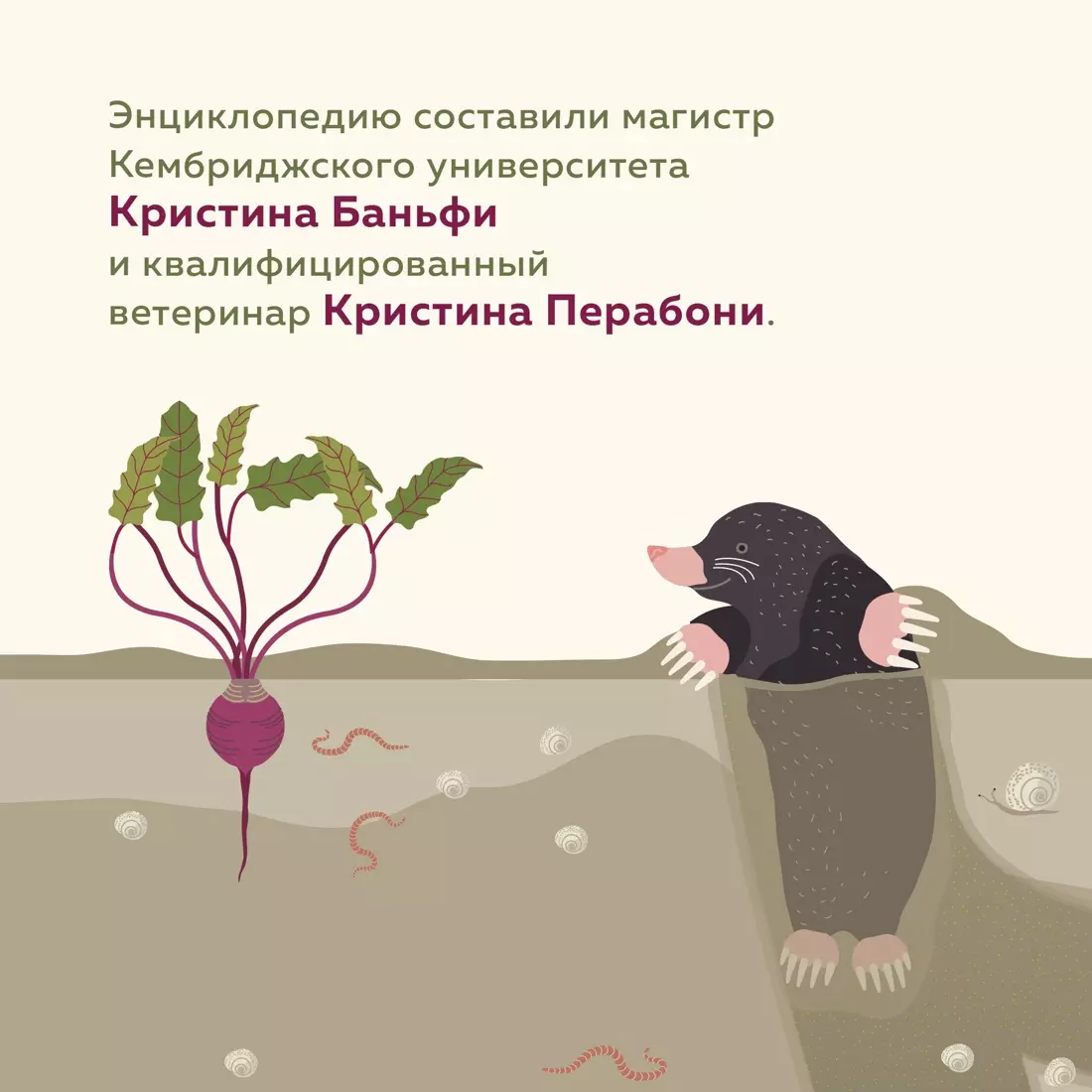 Что внутри? Как устроены дома животных (Кристина Банфи, Кристина Перабони)  - купить книгу с доставкой в интернет-магазине «Читай-город». ISBN:  978-5-389-23273-0