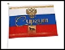 ГС флаг текстиль Сургут 20*30 см 492343 2322539