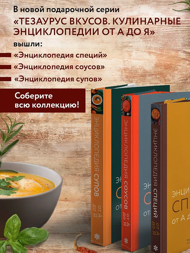 Книга Энциклопедия супов от А до Я (Ефим Кундель) — 10