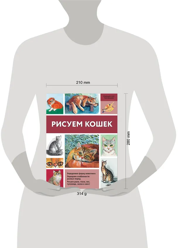 Книга Рисуем кошек (Нина Щербакова) — 4