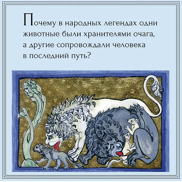 Книга Магия трав и волшебный бестиарий. Сборный комплект из 2-х книг с шоппером (Ипполита Дуглас Скотти ди Виголено, Сабрина Тонутти, Роберто Маркезини) — 8
