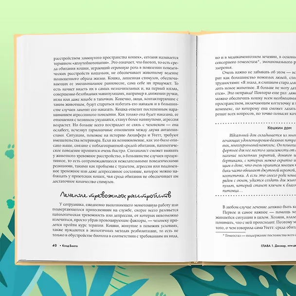 Книга Кошки, которые сводят с ума. Почему кошки психуют и что делать с их проблемным поведением (Клод Беата) — 12