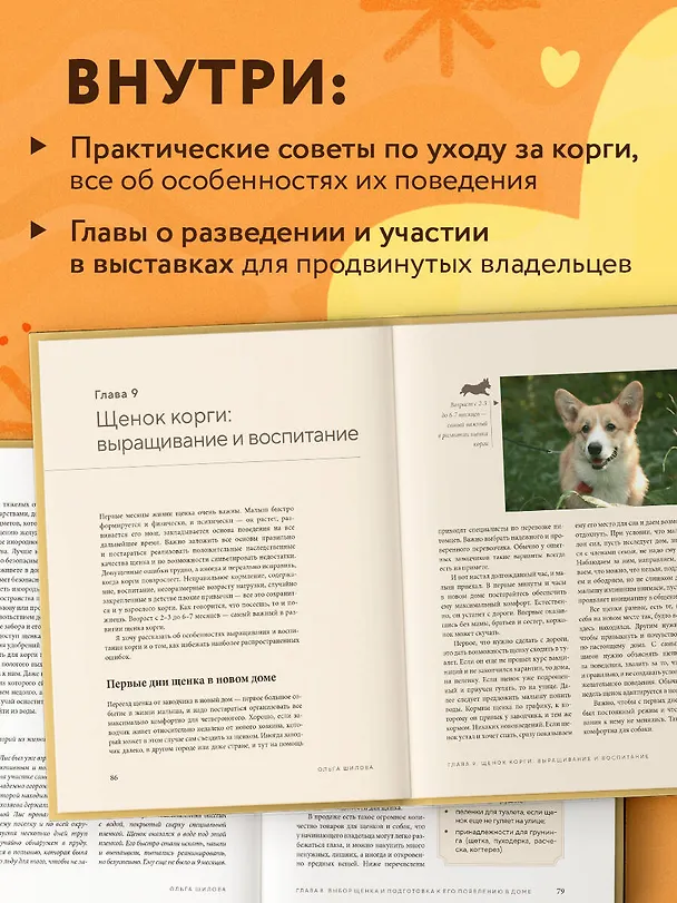 Книга Великолепные корги. Все о породах вельш-корги-пемброк и вельш-корги-кардиган (Ольга Шилова) — 7