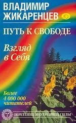 Путь к свободе. Взгляд в Себя — 2179901 — 1