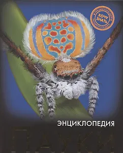 Пауки: энциклопедия