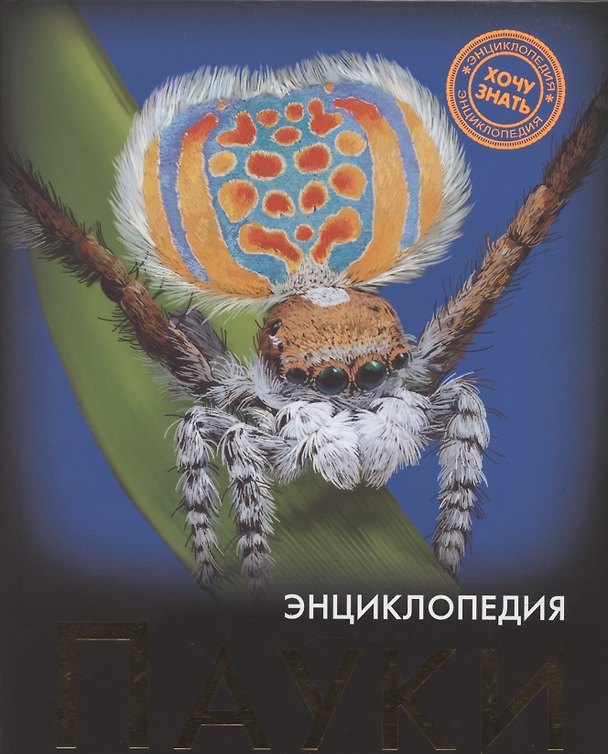 Книга Пауки: энциклопедия (Людмила Соколова) — 1