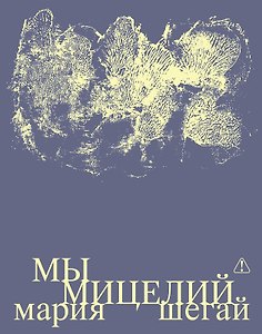 Мы мицелий