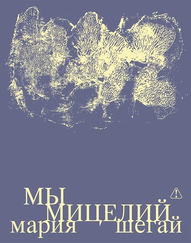 Книга Мы мицелий () — 1