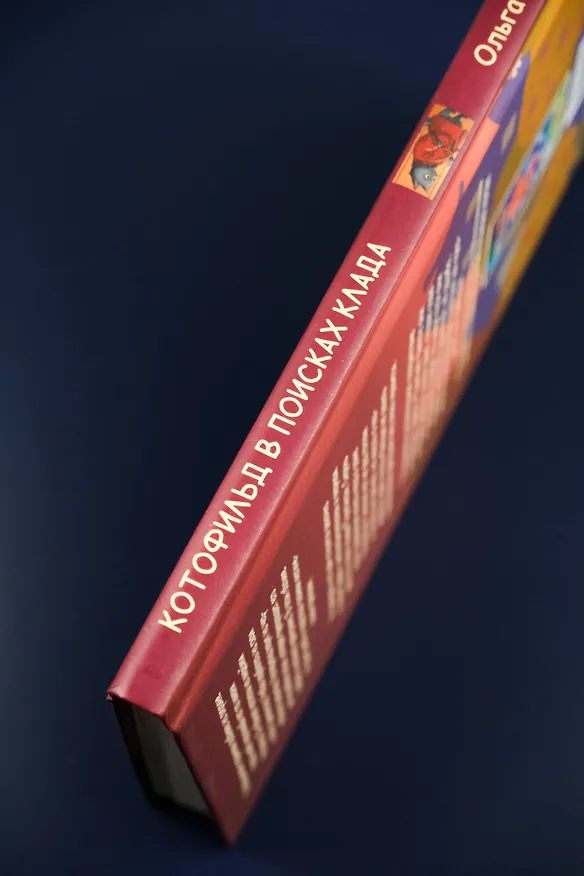 Книга Котофильд в поисках клада (Ольга Соловьёва) — 9