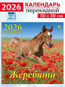 Календарь 2026г 300*300 «Год лошади.Жеребята» настенный, на скрепке