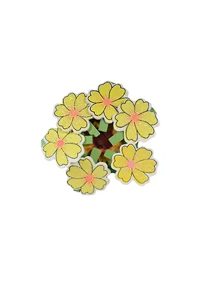 Набор Прищепки Желтые цветочки (762987) (6шт) (упаковка) 2420420