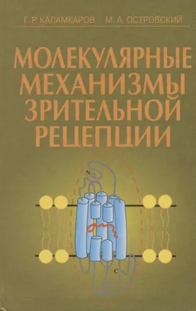 Молекулярные механизмы зрительной рецепции — 2867150 — 1