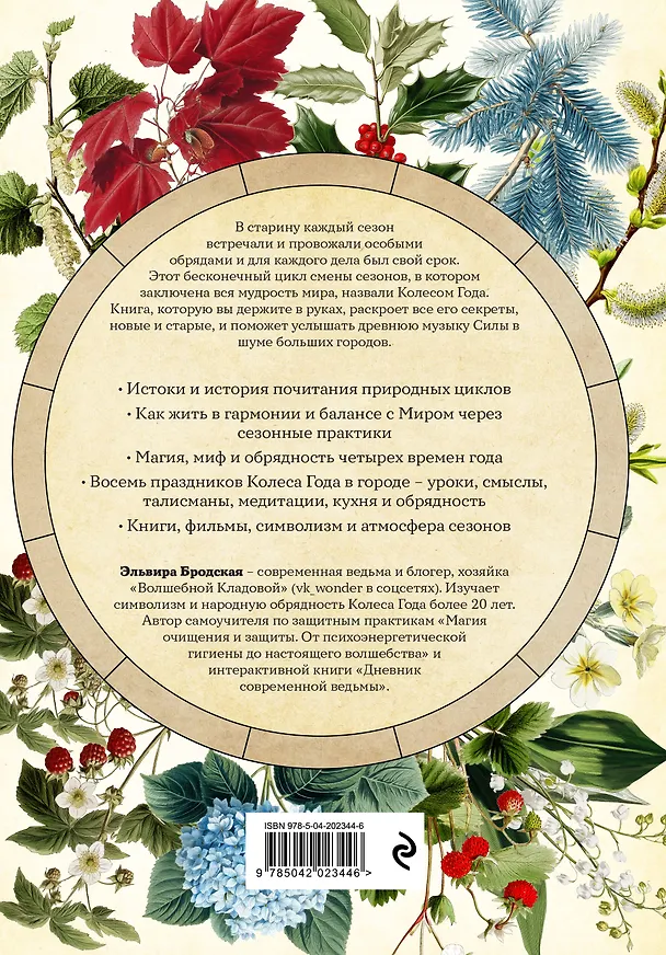Книга Колесо Года в городе: от древних секретов сезонной магии до современных практик (Эльвира Бродская) — 2